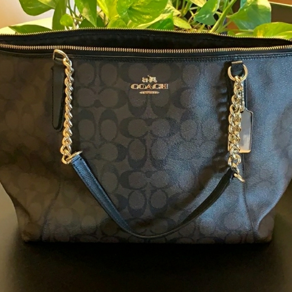 Brown Coach Purse